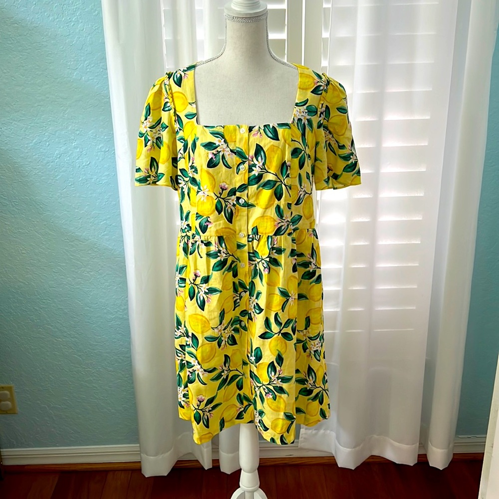 NWT Draper James Button front shirt dress